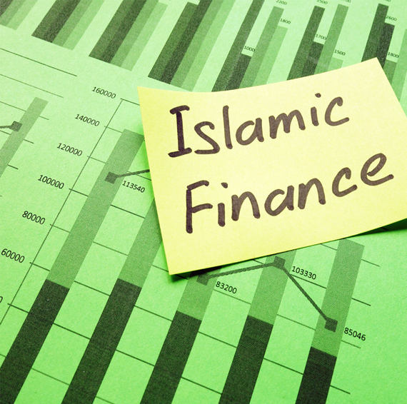 Coder Finance